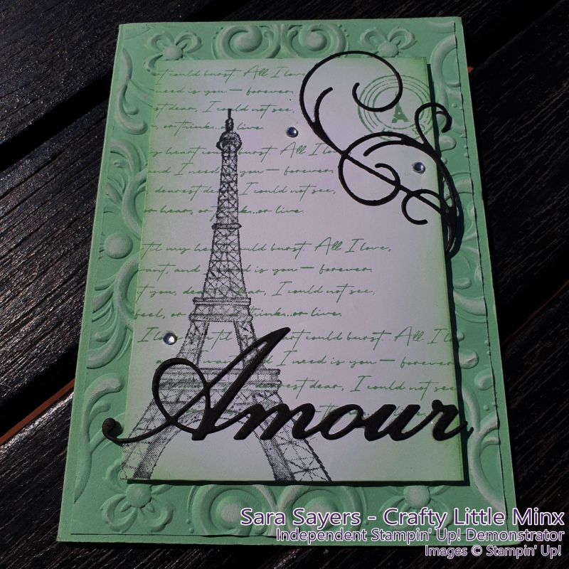 Parisian Beauty Stamp Set used on the Casually Crafting Blog Hop Jan 2020 - Crafty Little MInx